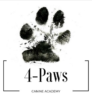 4-Paws